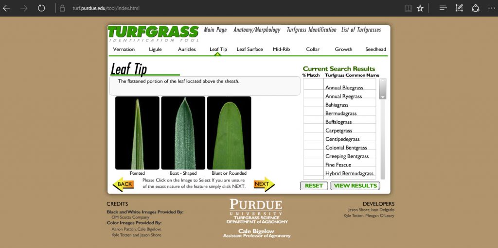 What do you know about Turfgrass identification? Turfgrass Academy
